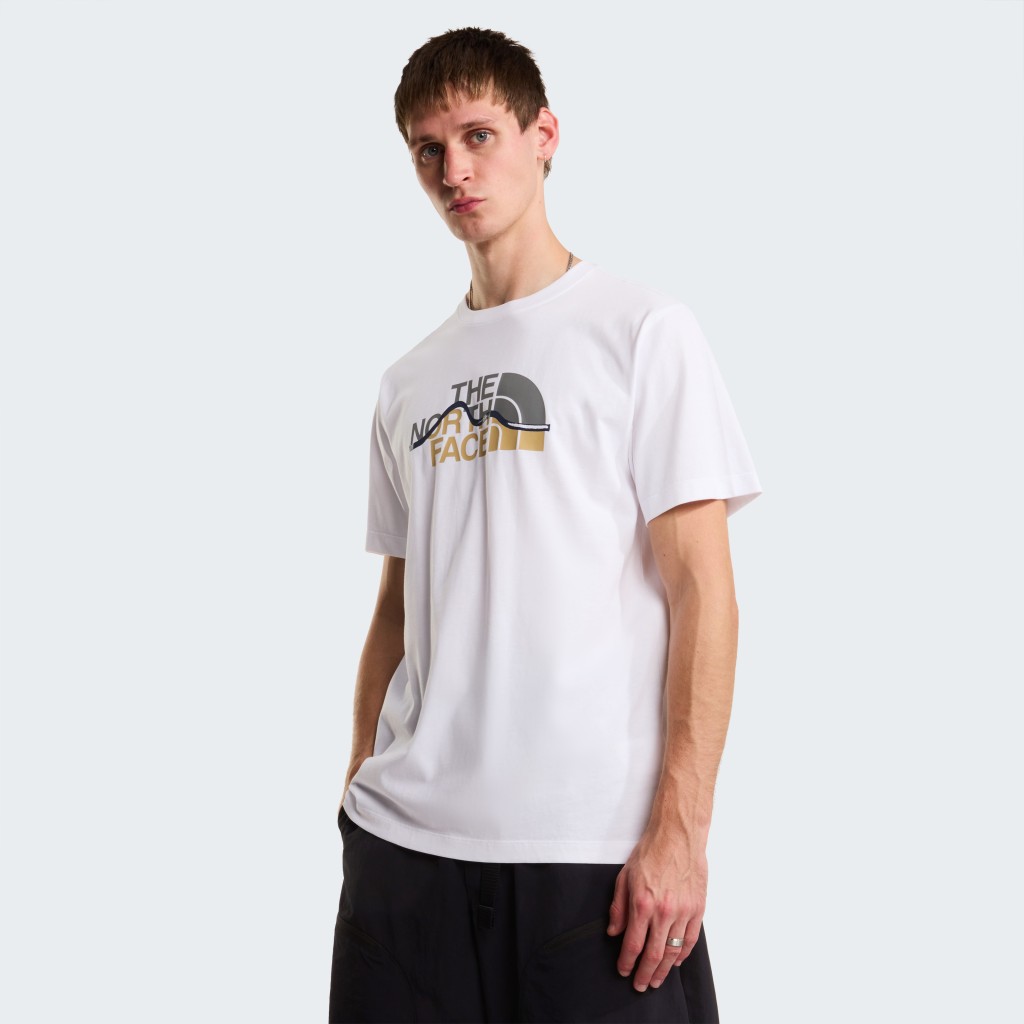 THE NORTH FACE M MOUNTAIN LINE REGULAR SHORT SLEEVE TEE NF0A8GUXFN41