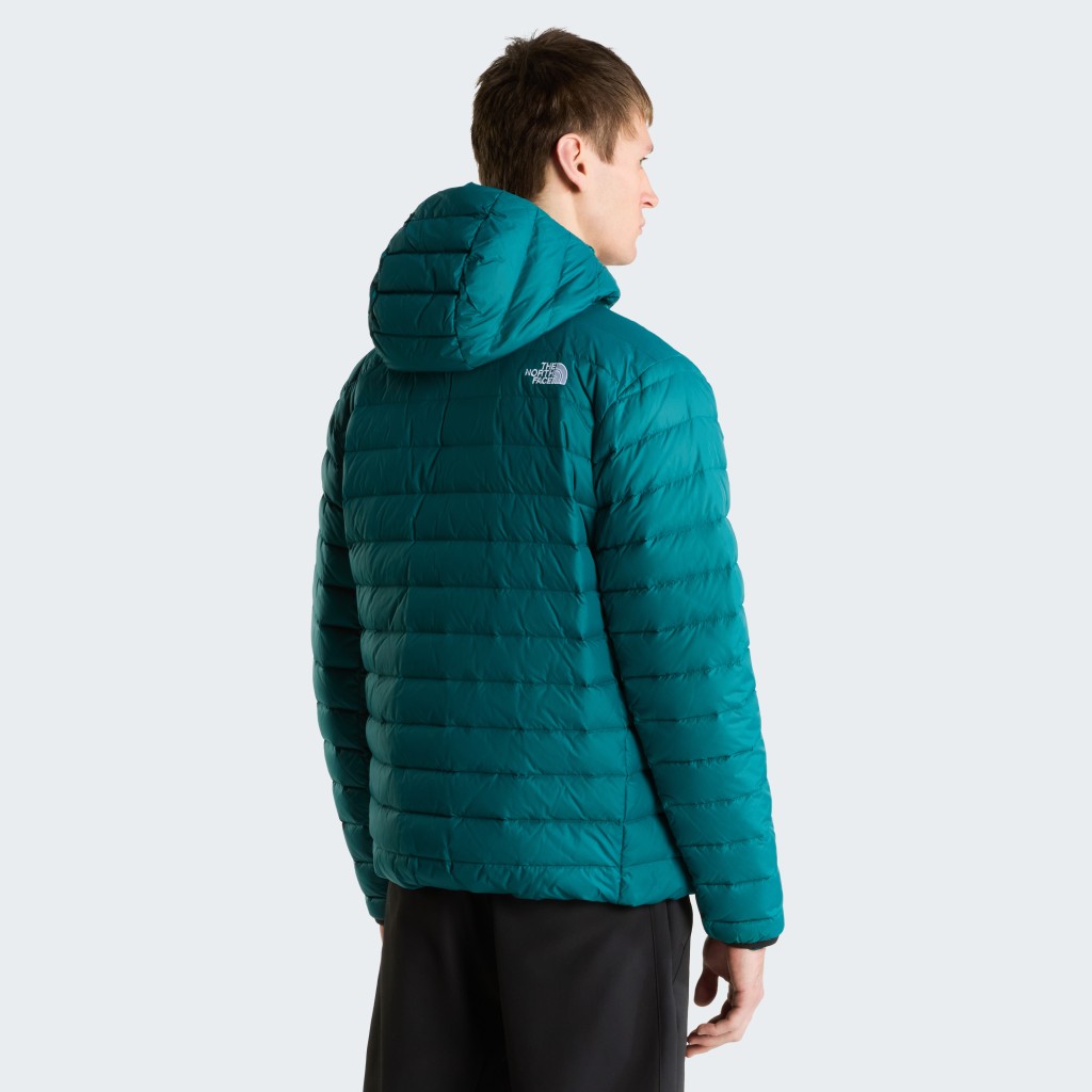 THE NORTH FACE M CLASSIC DOWN HOODED JACKET NF0A8D1TN4J1