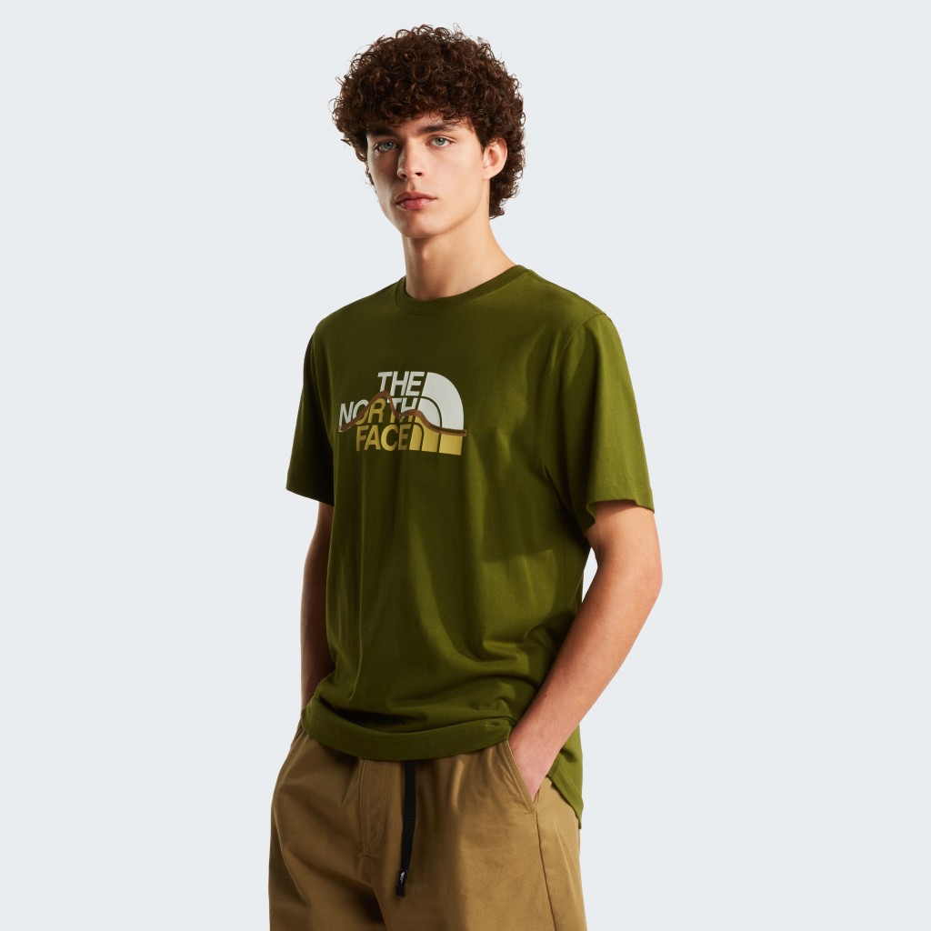 THE NORTH FACE M MOUNTAIN LINE REGULAR SHORT SLEEVE TEE NF0A8GUXBRI1