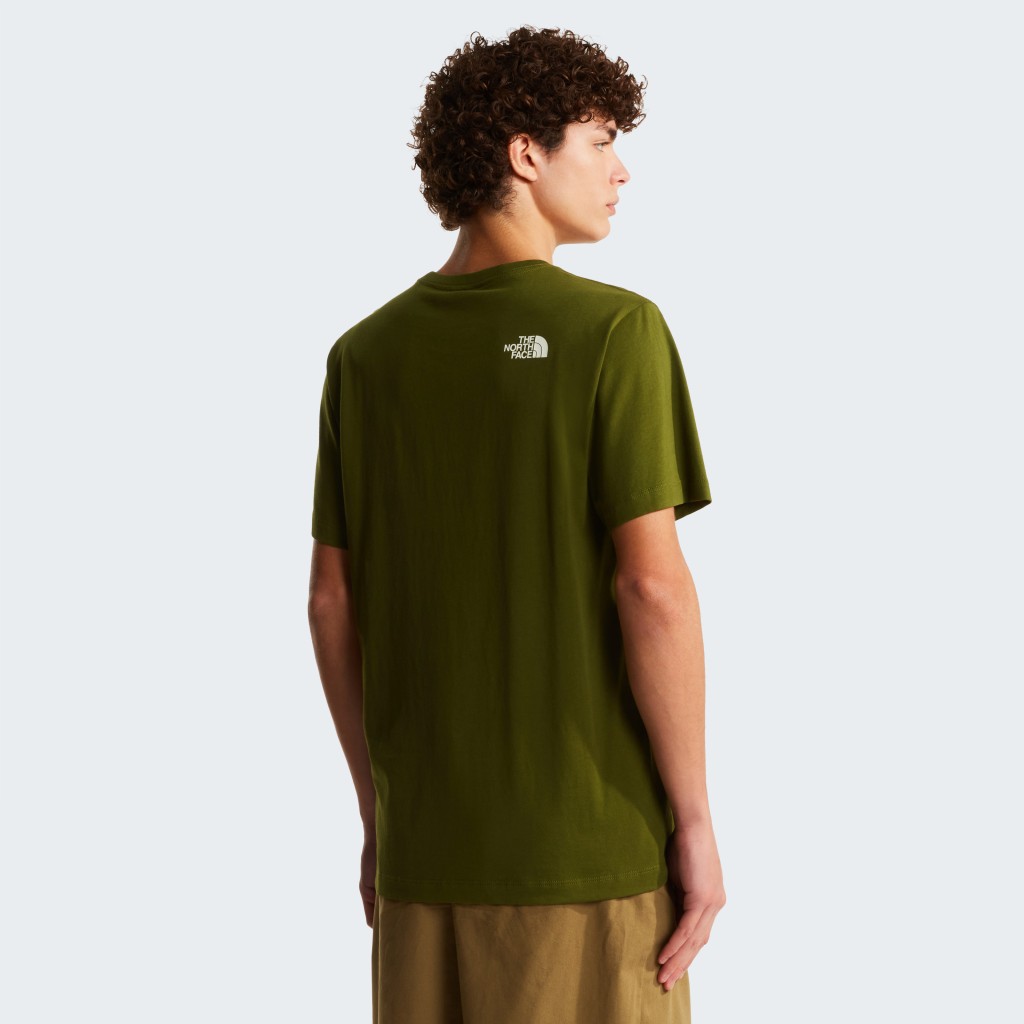 THE NORTH FACE M MOUNTAIN LINE REGULAR SHORT SLEEVE TEE NF0A8GUXBRI1