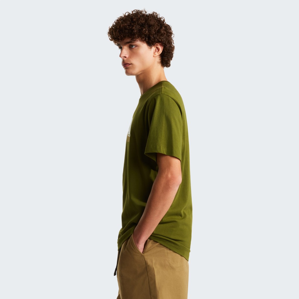THE NORTH FACE M MOUNTAIN LINE REGULAR SHORT SLEEVE TEE NF0A8GUXBRI1