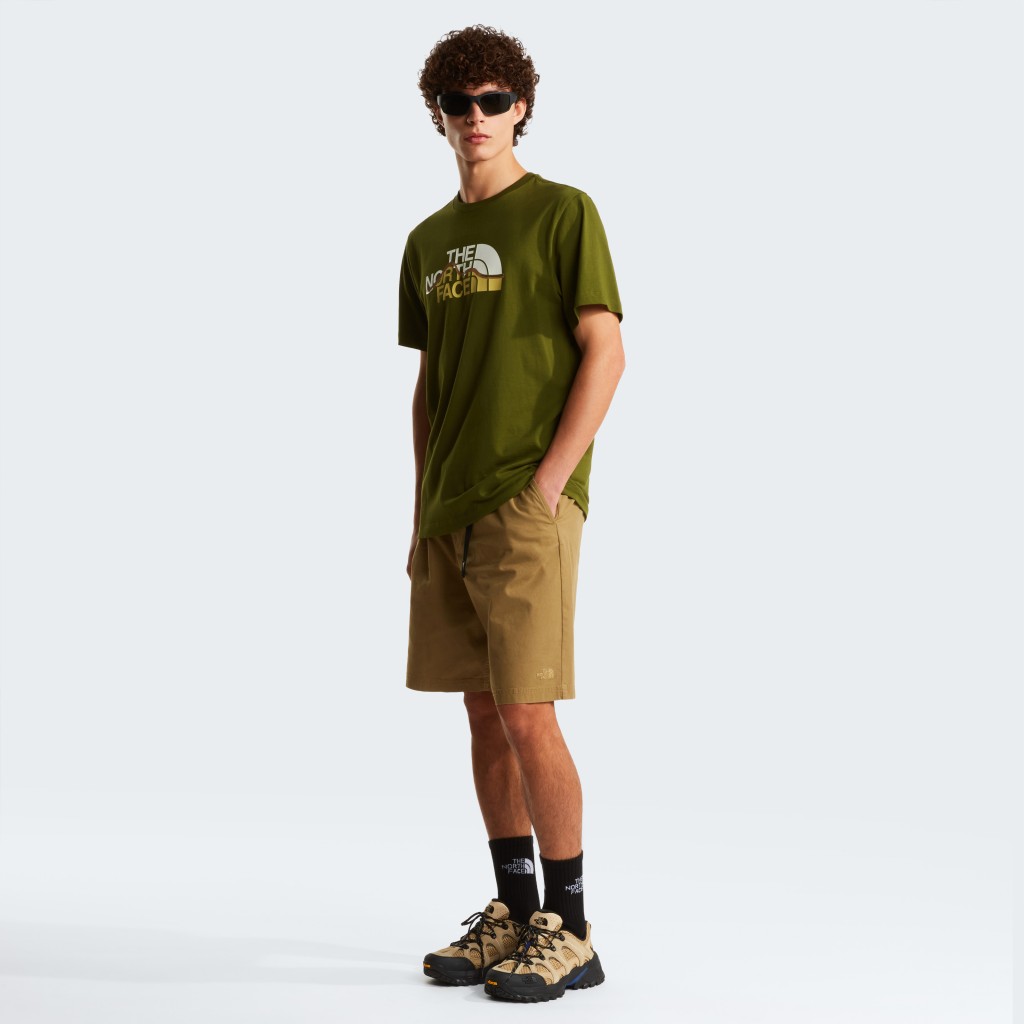 THE NORTH FACE M MOUNTAIN LINE REGULAR SHORT SLEEVE TEE NF0A8GUXBRI1