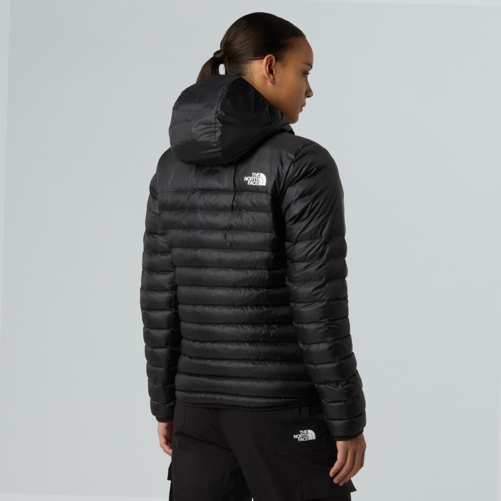 THE NORTH FACE W TERRA PEAK HOODIE NF0A8DEDJK31