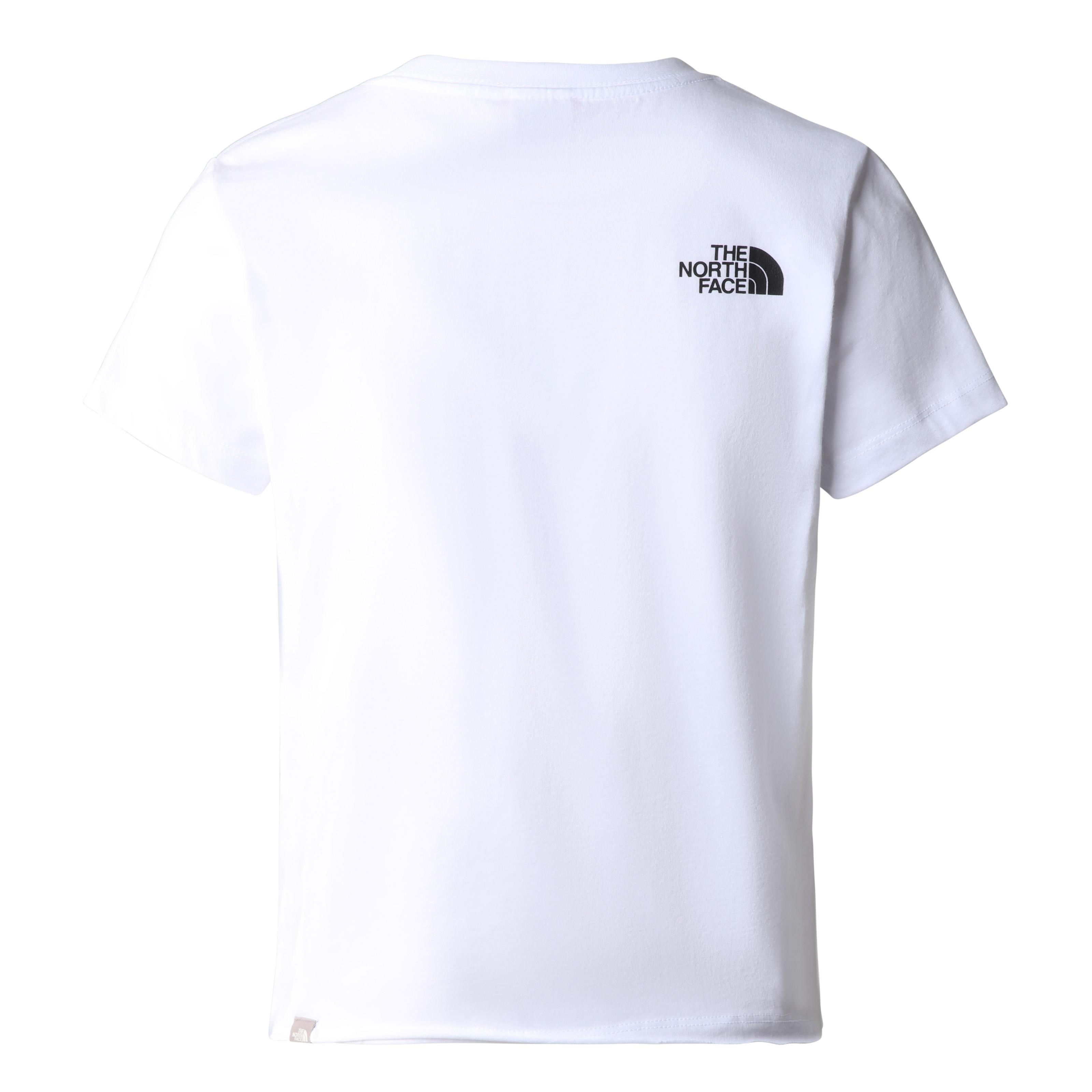 THE NORTH FACE W COORDINATES S/S TEE - EU NF0A826IFN41