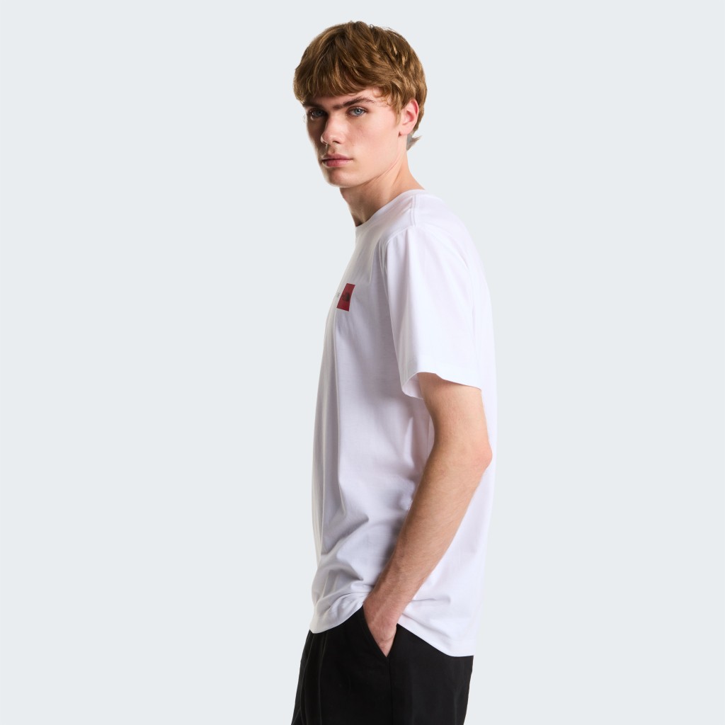 THE NORTH FACE M NSE REG SS TEE-GRAPHIC NF0A8GUVFN41