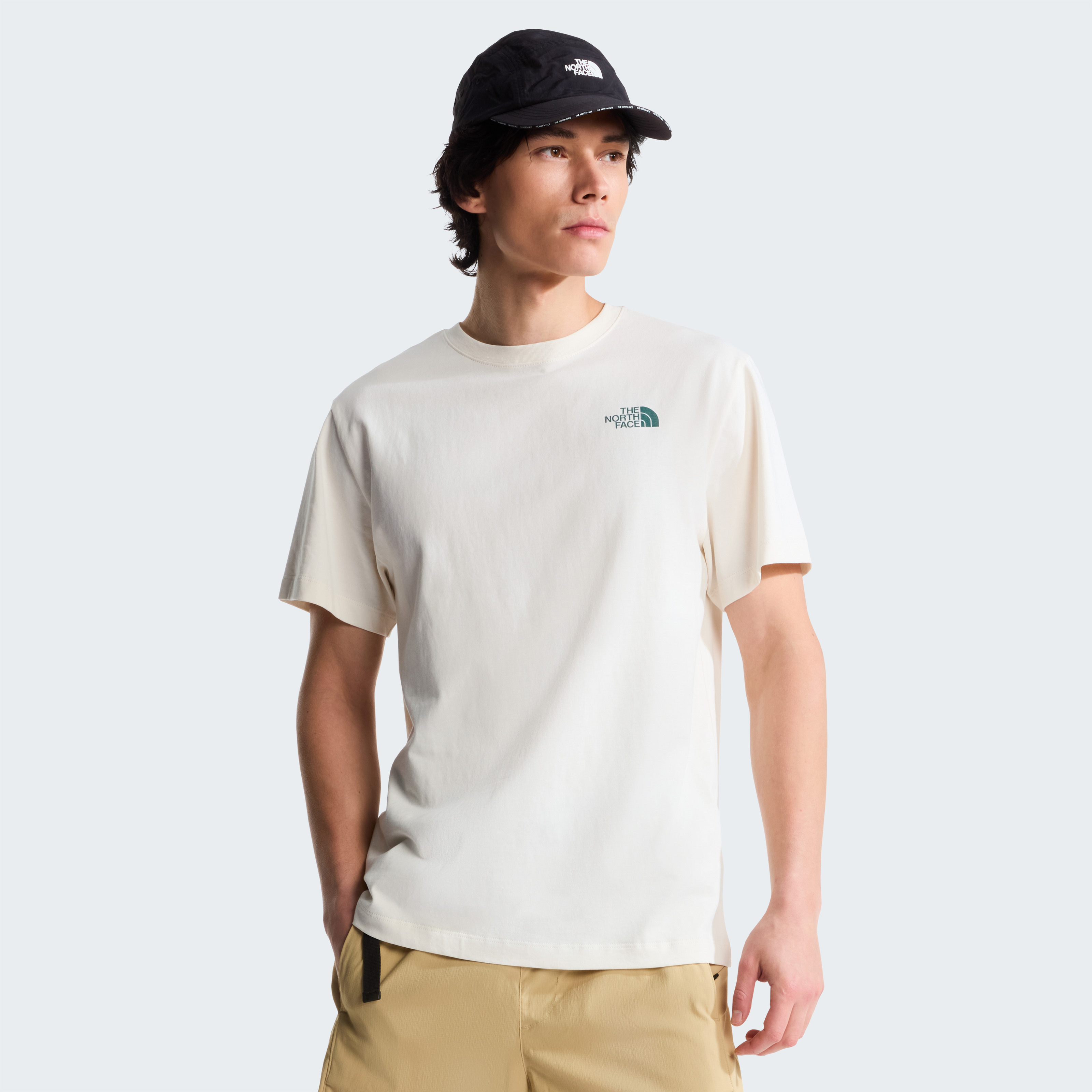 THE NORTH FACE M RETRO EARTH RELAXED SHORT SLEEVE TEE-G NF0A8G9PQLI1
