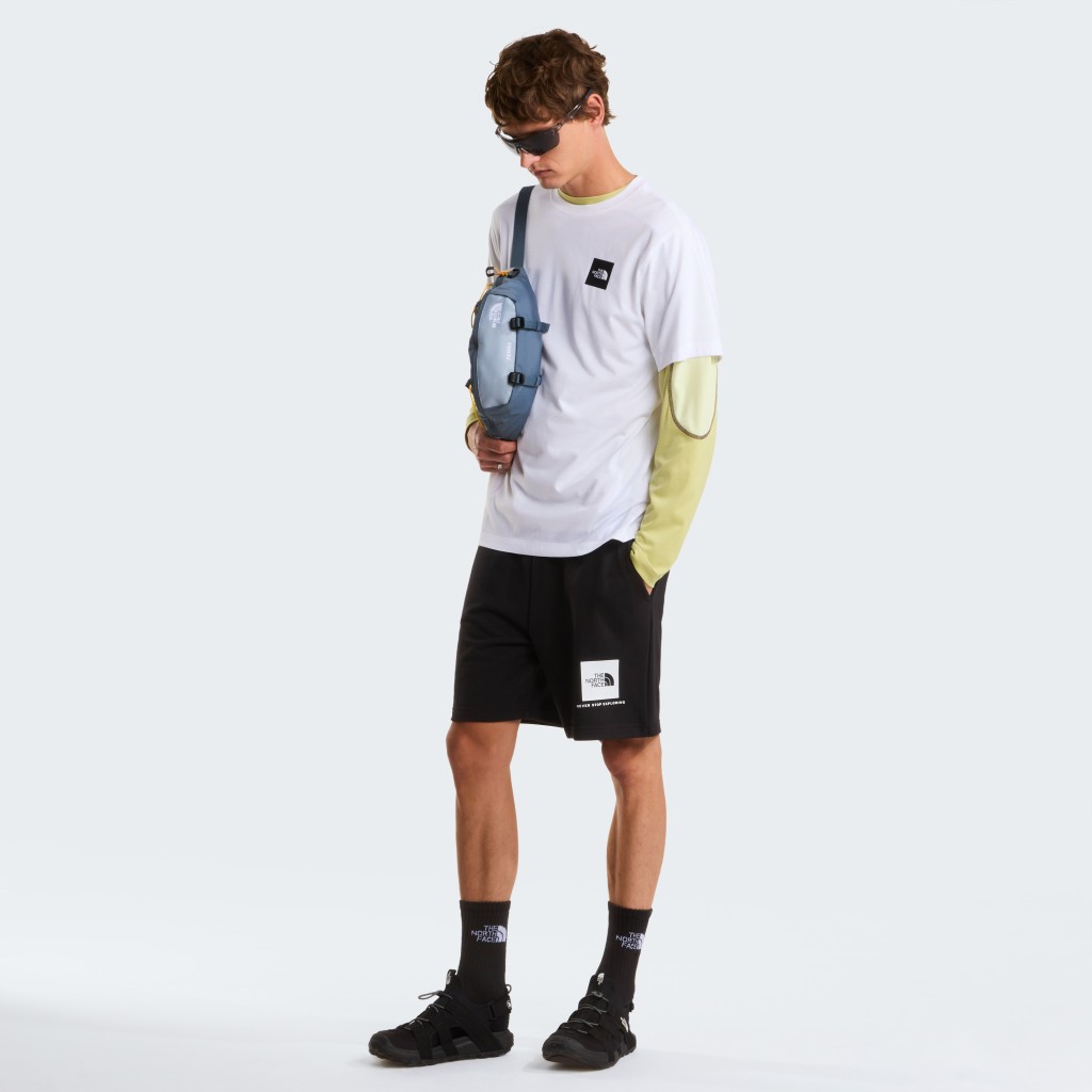 THE NORTH FACE M EVOLUTION BOX HALF DOME REGULAR SHORT NF0A8G9CFN41
