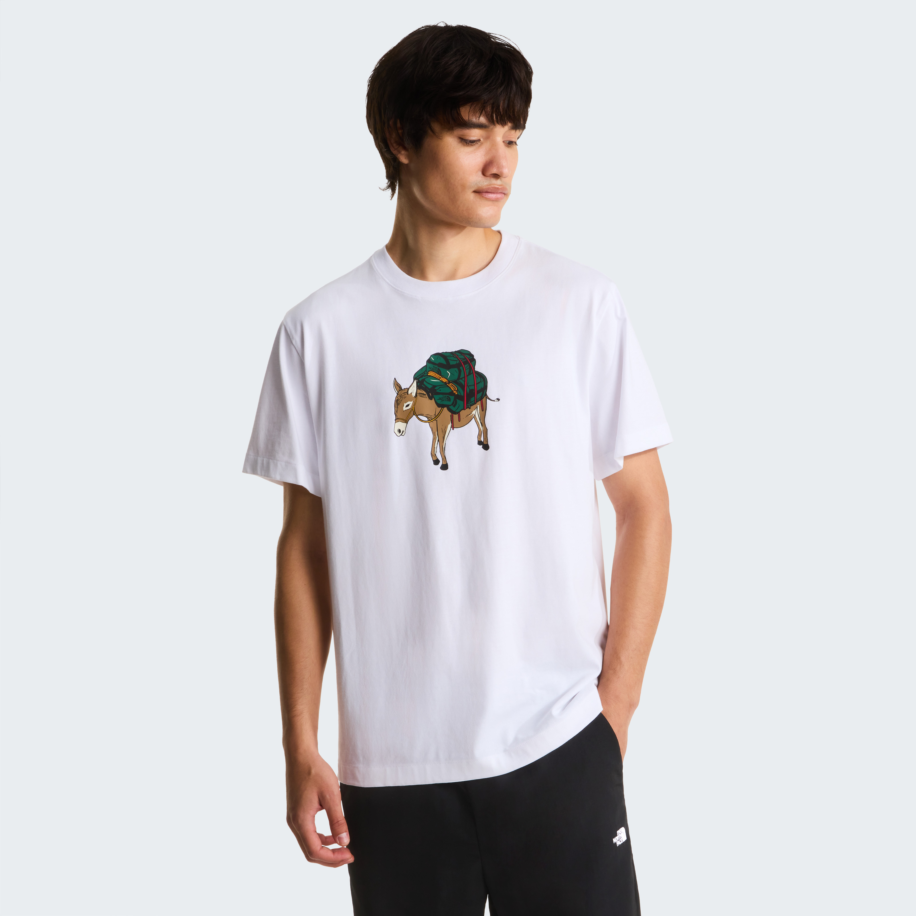 THE NORTH FACE M DONKEY  TAXI RELAXED SHORT SLEEVE  TEE-G NF0A8G9FFN41