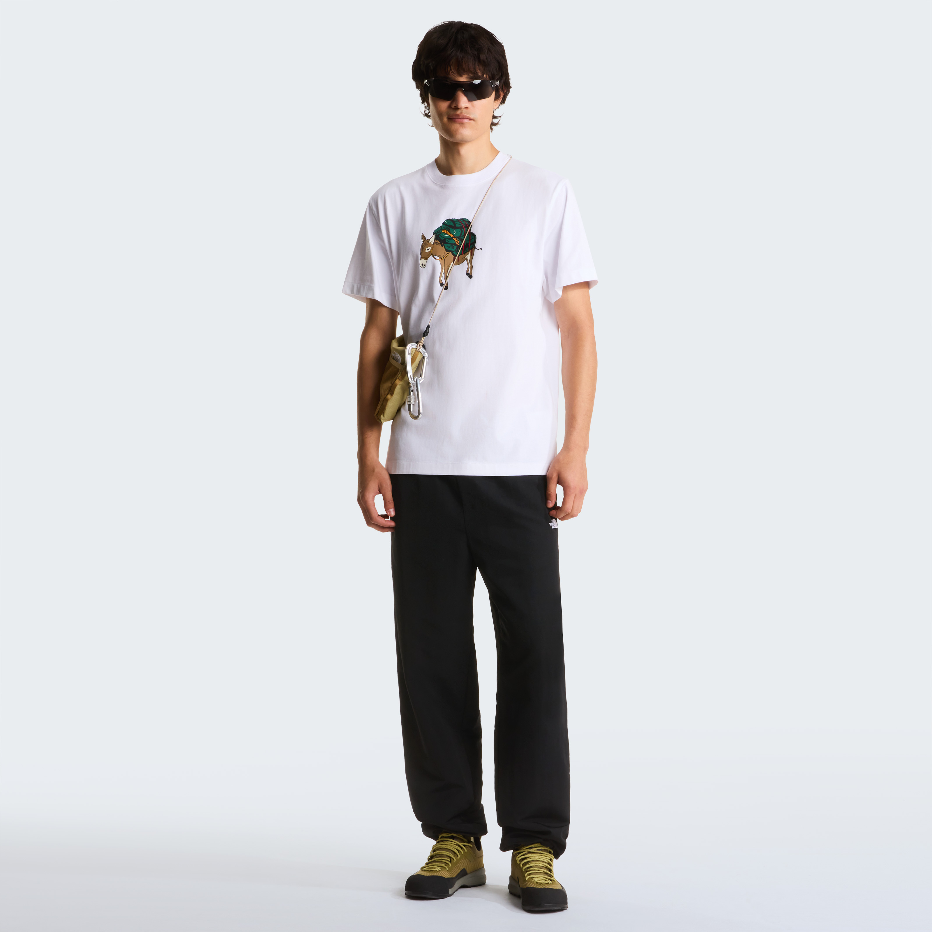 THE NORTH FACE M DONKEY  TAXI RELAXED SHORT SLEEVE  TEE-G NF0A8G9FFN41