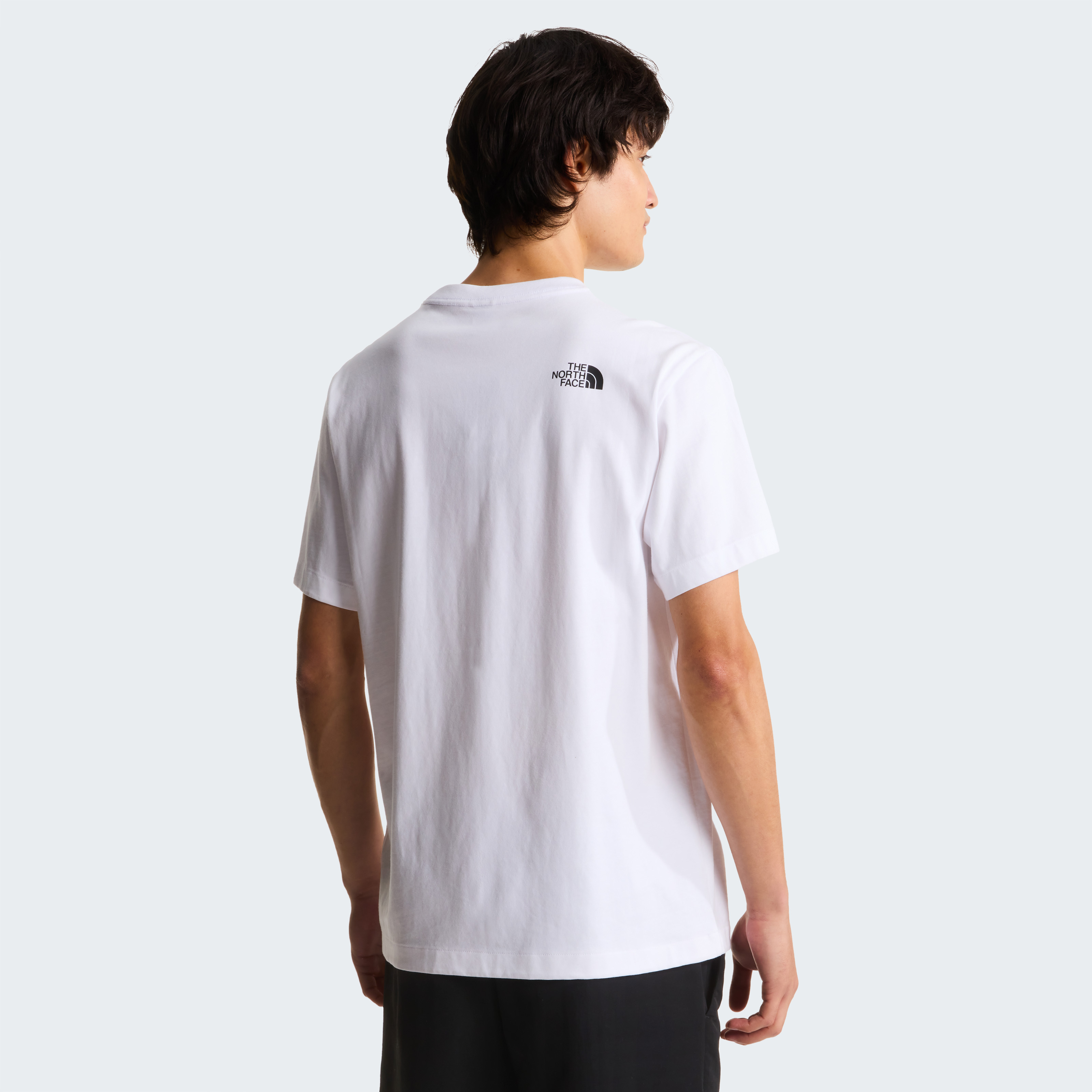 THE NORTH FACE M DONKEY  TAXI RELAXED SHORT SLEEVE  TEE-G NF0A8G9FFN41