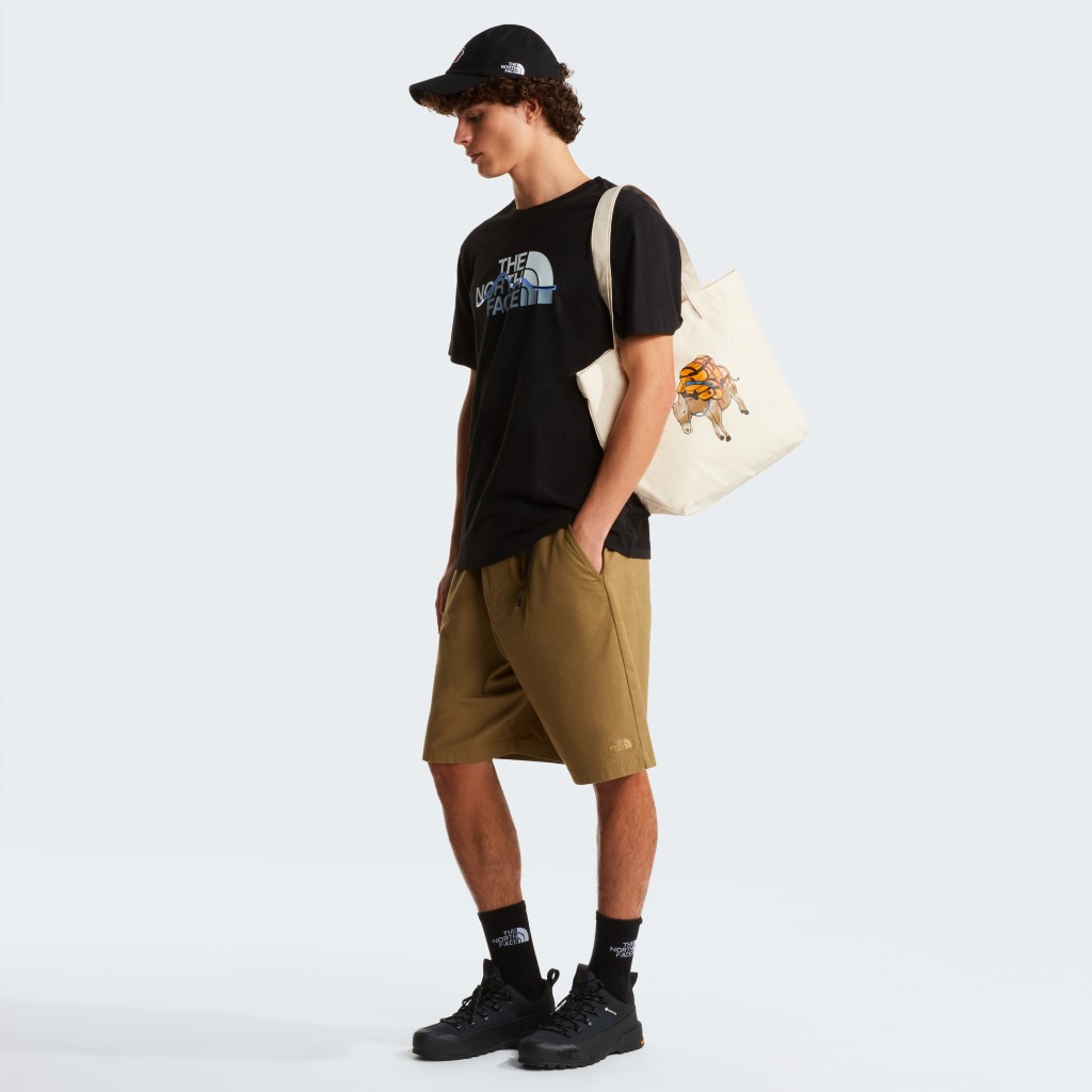 THE NORTH FACE M MOUNTAIN LINE REGULAR SHORT SLEEVE TEE NF0A8GUXJK31