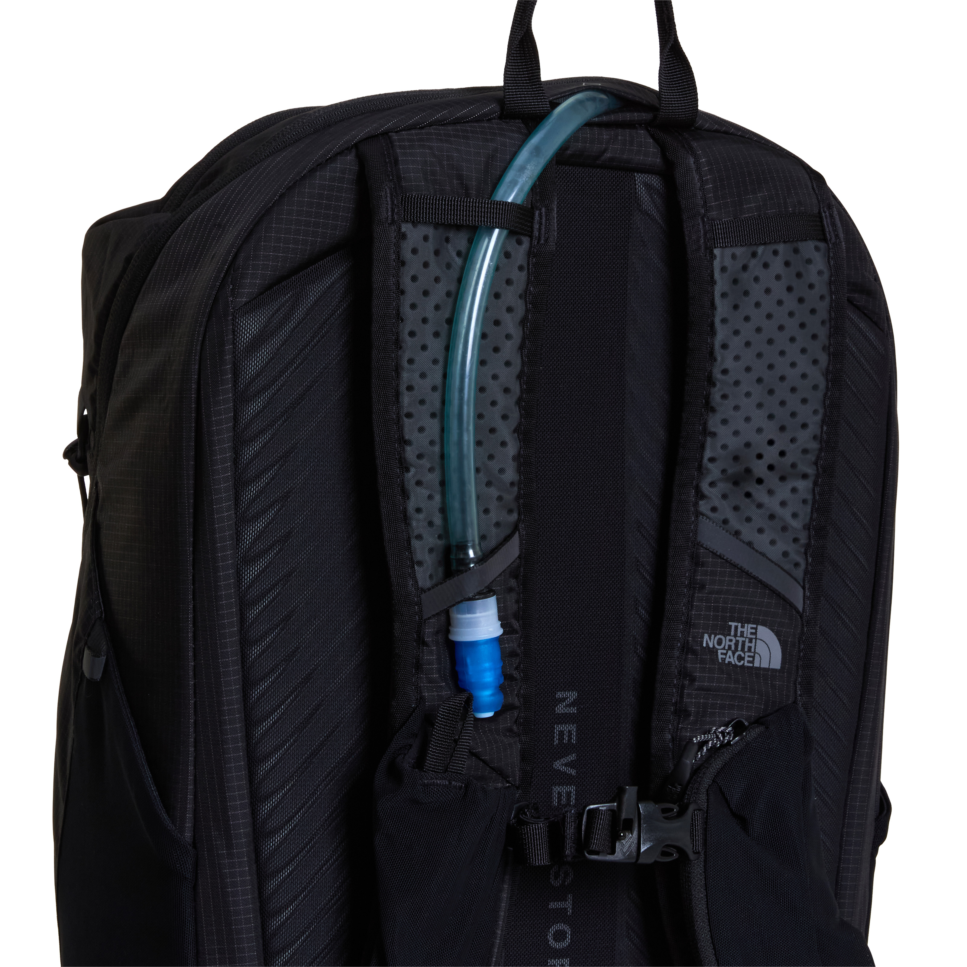 THE NORTH FACE BOREALIS TRAIL NF0A8E9ZJK31