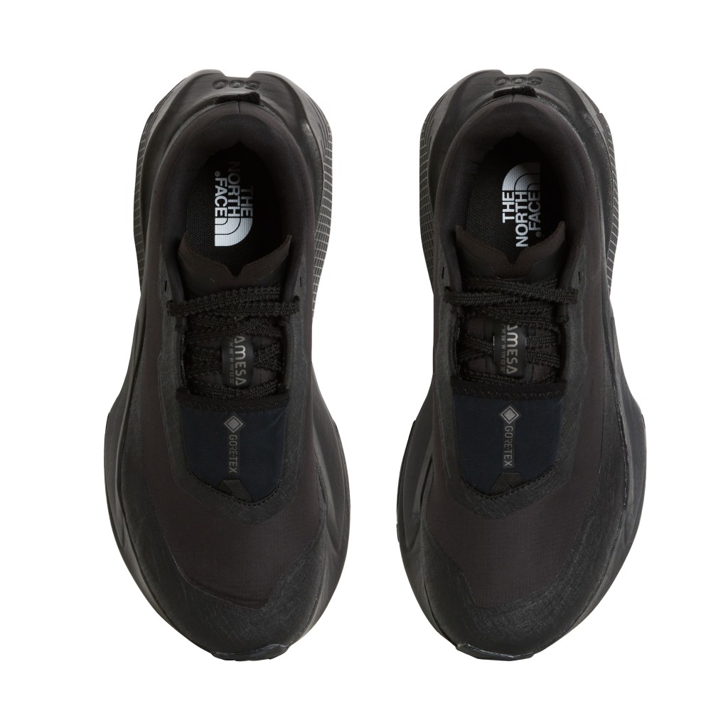 THE NORTH FACE W ALTAMESA 500 V2 GORE-TEX NF0A8G5AKX71