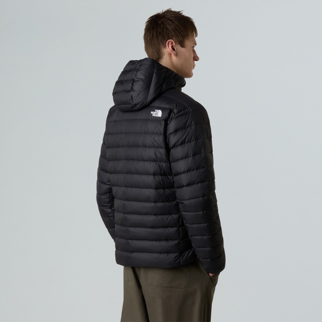 THE NORTH FACE M CLASSIC DOWN HOODED JACKET NF0A8D1TJK31
