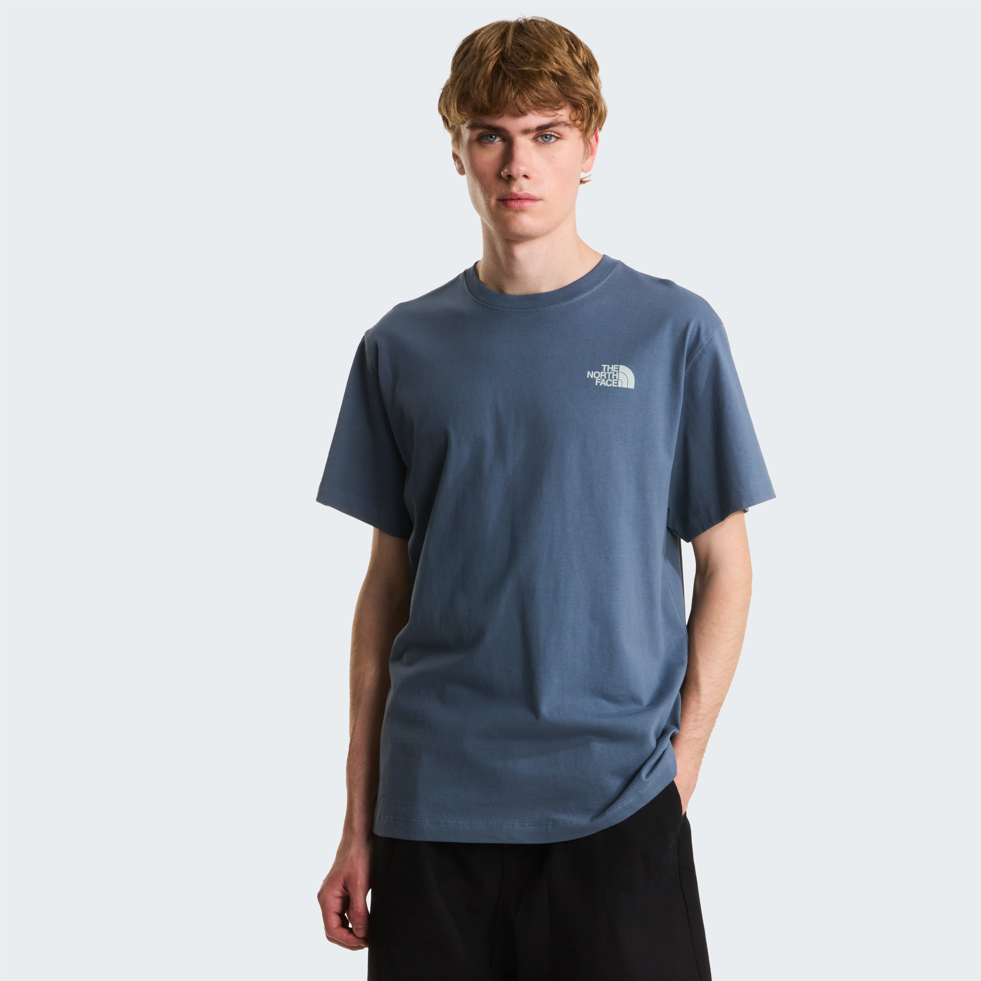 THE NORTH FACE M RETRO EARTH RELAXED SHORT SLEEVE TEE-G NF0A8G9P0U31