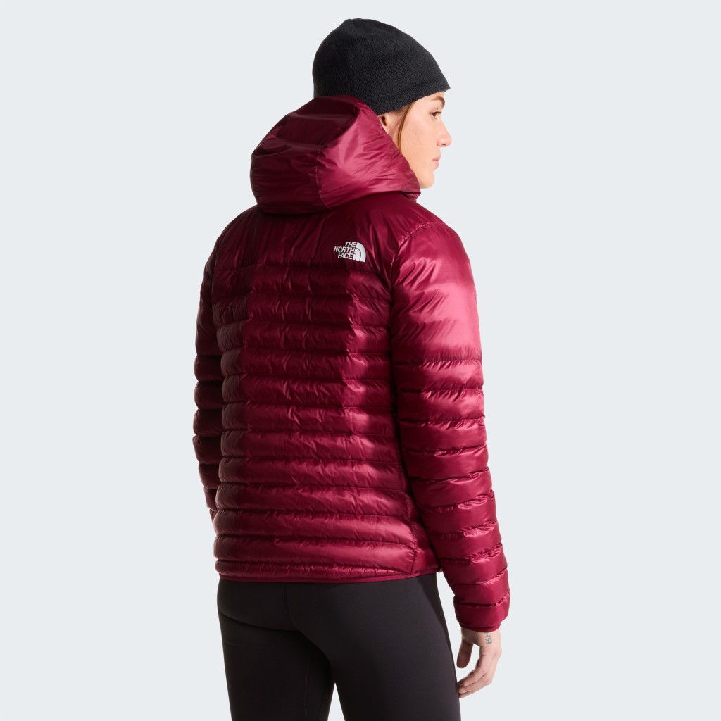 THE NORTH FACE W TERRA PEAK HOODIE NF0A8DEDRGW1