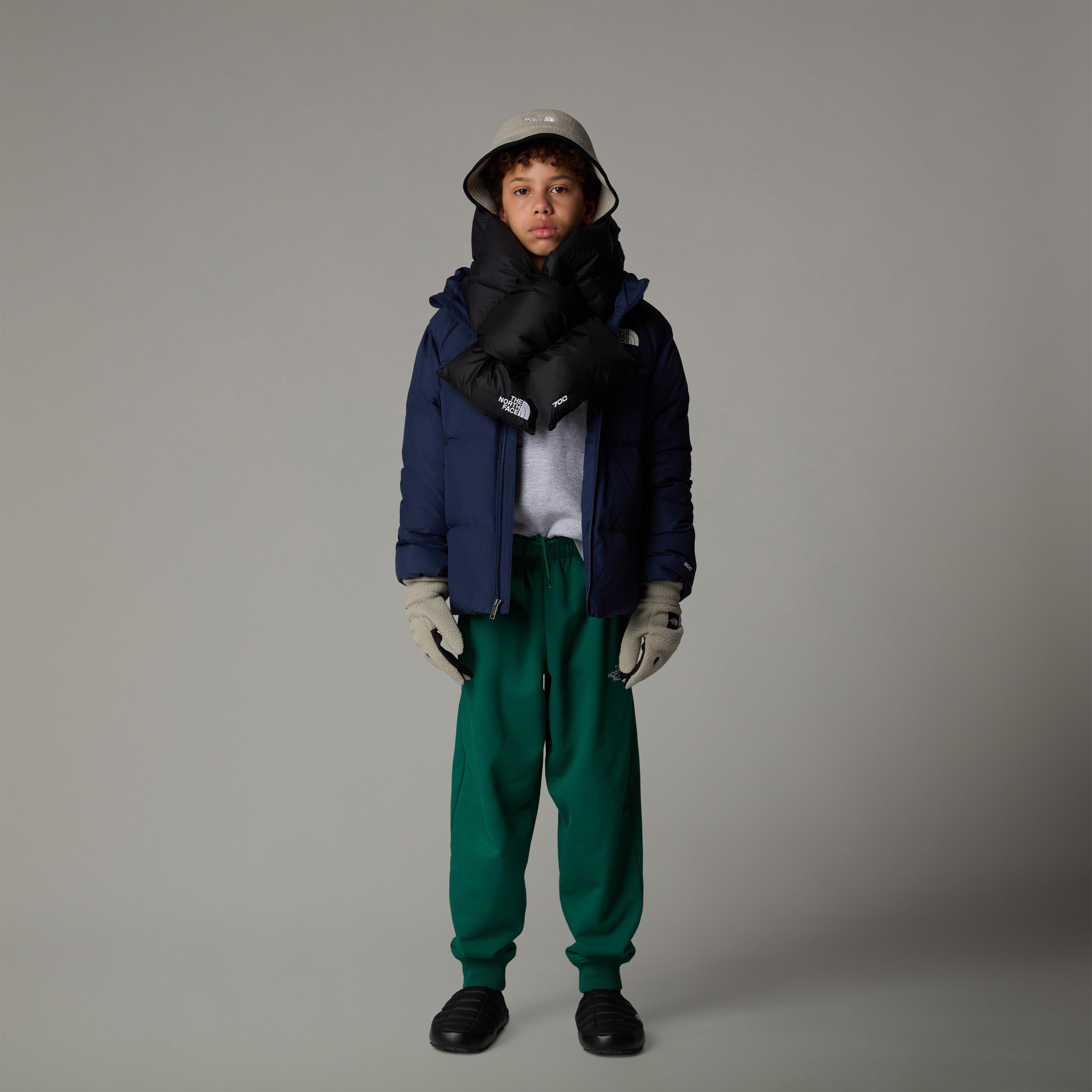 THE NORTH FACE B NORTH DOWN HOODED JACKET NF0A88TX8K21