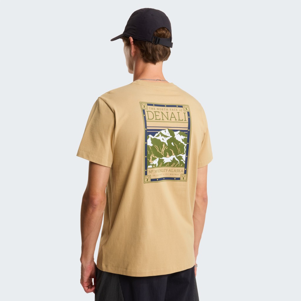 THE NORTH FACE M NORTH FACES REG SS TEE-GRAPHIC NF0A8GUWLK51