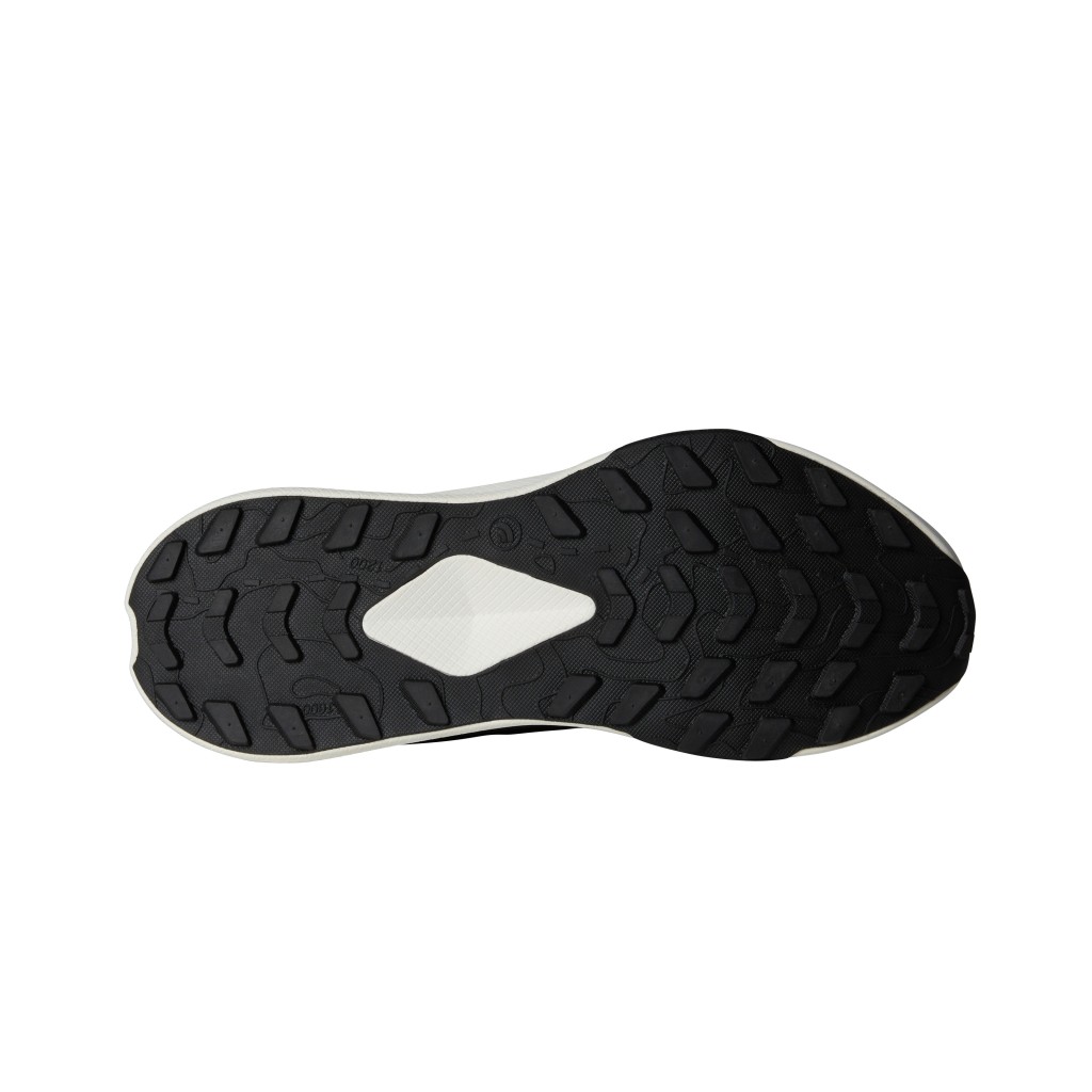 THE NORTH FACE Y ALTAMESA  NF0A83O4KT01