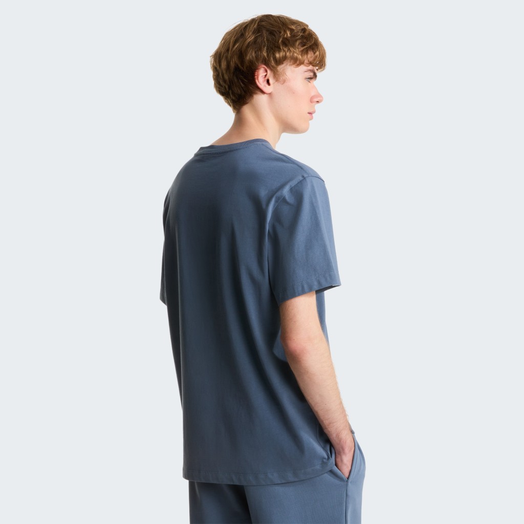 THE NORTH FACE M ESSENTIAL CENTER LOGO RELAXED SHORT SL NF0A8GQE0U31
