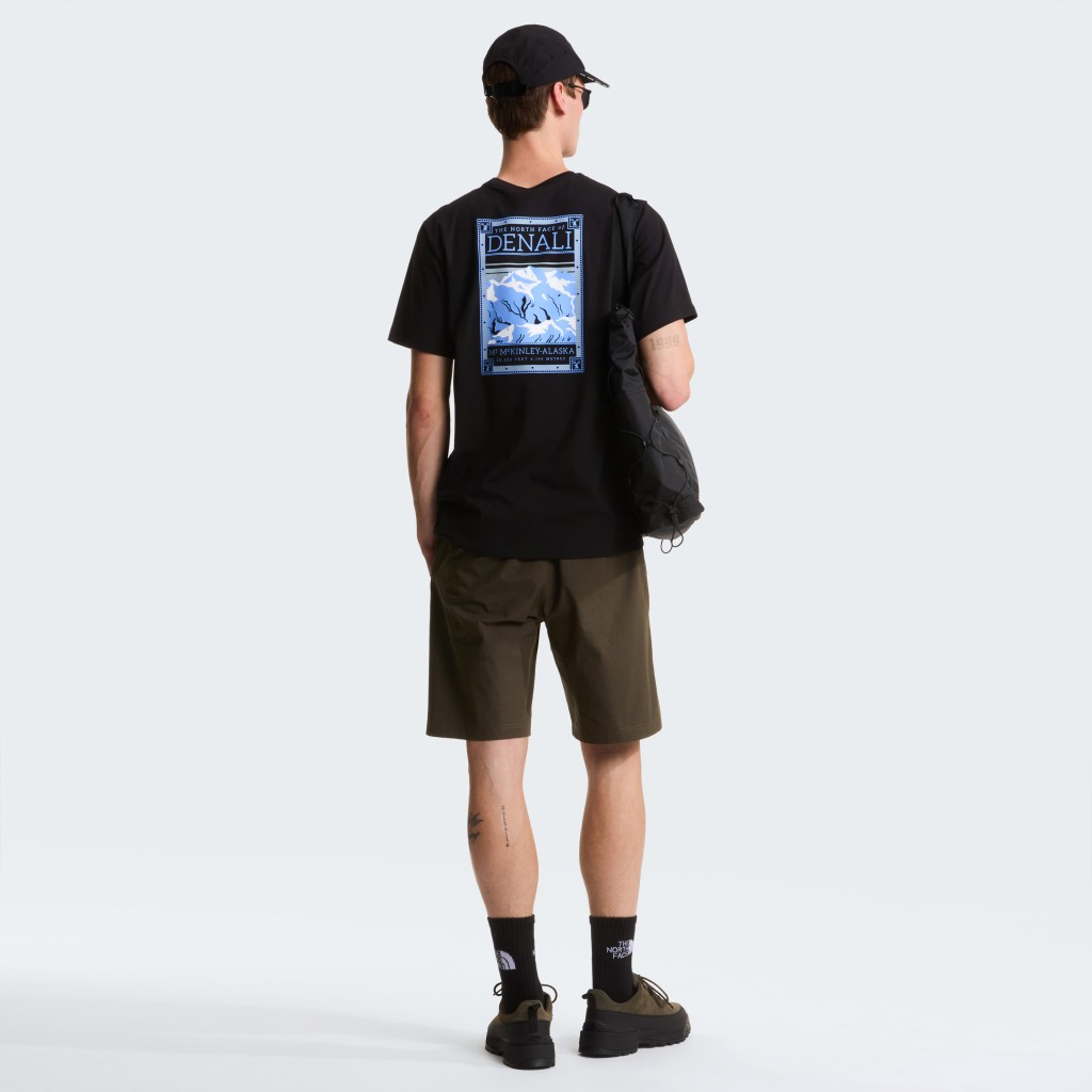 THE NORTH FACE  M NORTH FACES REG SS TEE-GRAPHIC NF0A8GUWJK31
