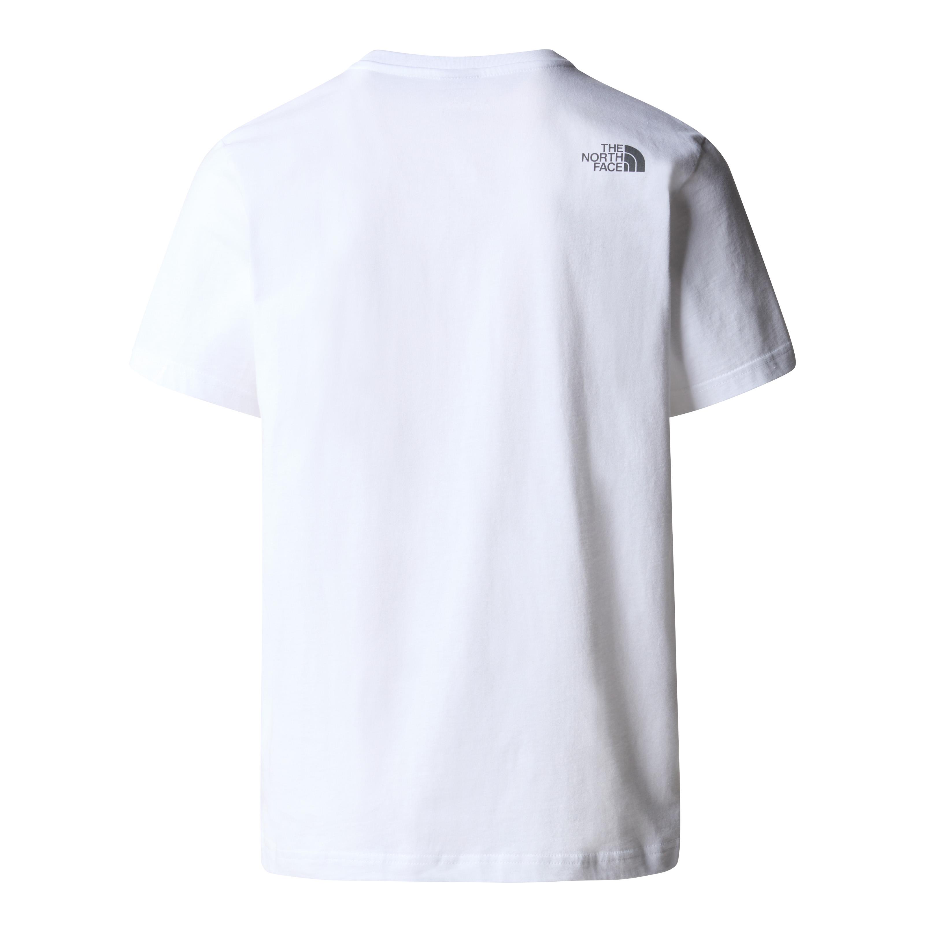 THE NORTH FACE M SS MOUNTAIN LINE TEE NF0A87NTFN41